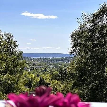 Meget Pent 2roms Til Leie Pa Rykkinn Lägenhet *