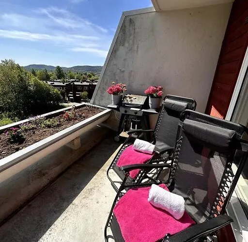 Apartment Meget Pent 2roms Til Leie Pa Rykkinn *