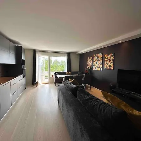 Διαμέρισμα Meget Pent 2roms Til Leie Pa Rykkinn Baerums Verk